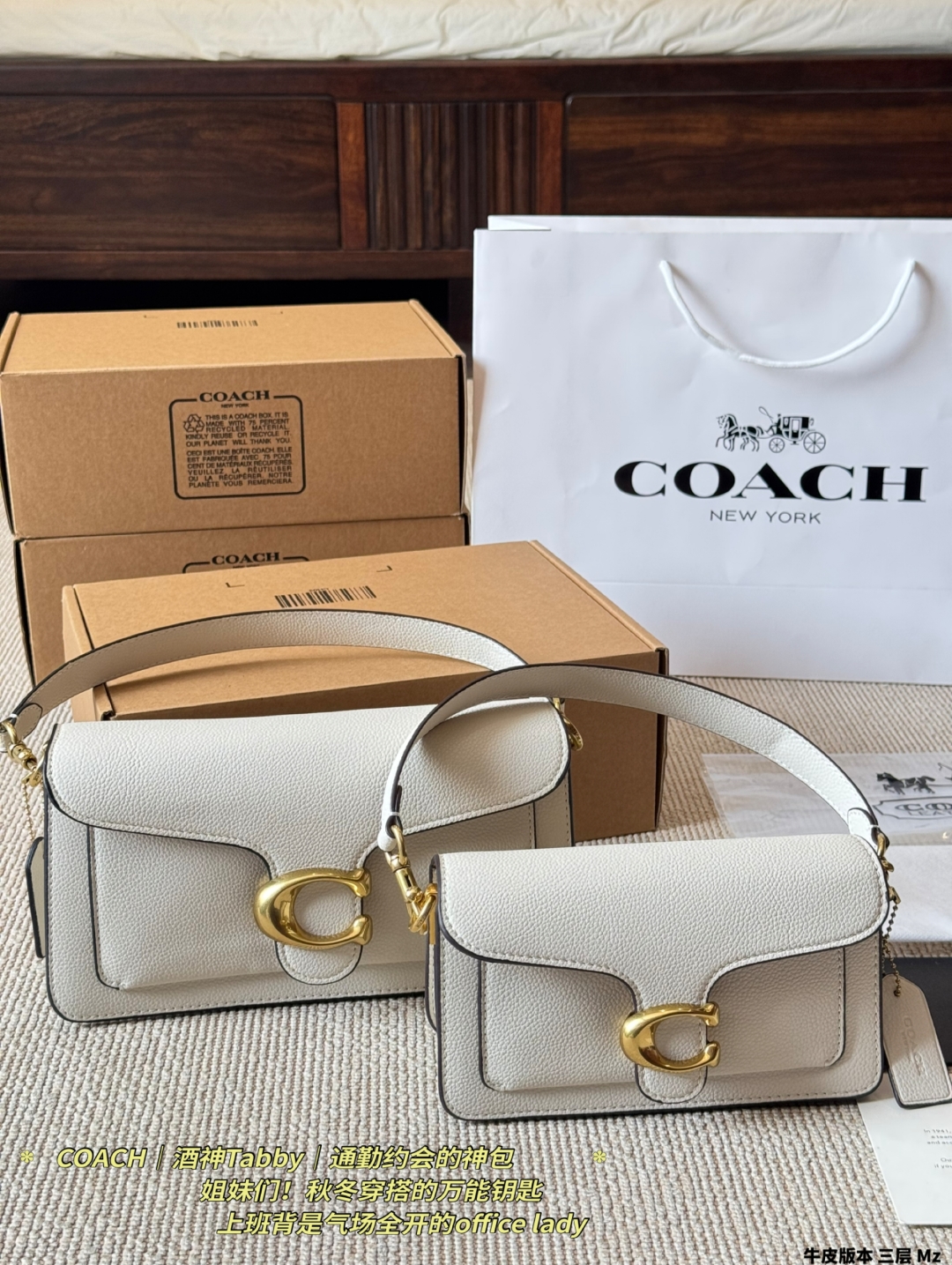 coach bag 326